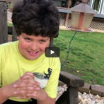 New work in progress movie: News Scene Sneak peek in progress